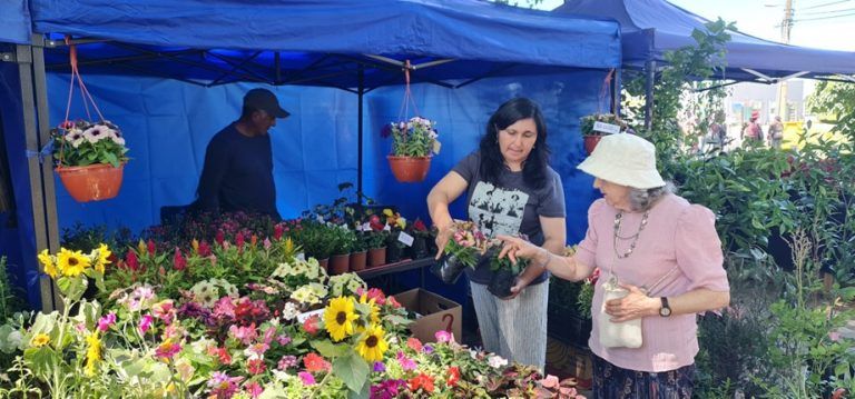 Temuco invita a disfrutar de Expoflores Verano 2025: un evento imperdible para los amantes de la jardinería y la naturaleza