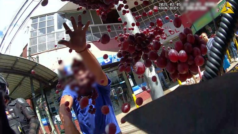 Vendedores ambulantes ilegales agreden a inspectores tras ser desalojados de un paradero en Temuco: hay dos detenidos