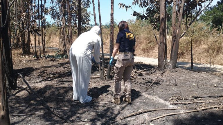 Equipo multidisciplinario de la PDI realiza trabajo investigativo en emergencia de incendios forestales que afectan a la Araucanía