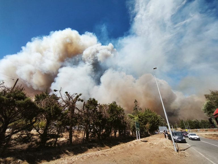 Ante multiplicidad de incendios intencionales, senadora Aravena pide estado de sitio para Malleco