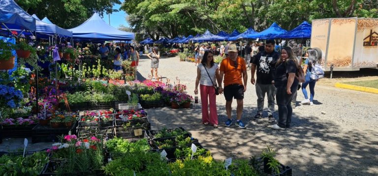 Expo Flores Verano 2025: Un fin de semana lleno de naturaleza y jardinería en Temuco