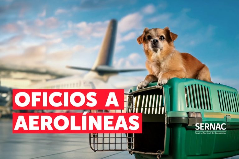 ¿Qué pasa con las aerolíneas y el traslado de mascotas?