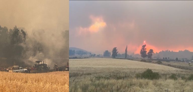 Autoridades piden evacuar en Traiguén por inminente llegada de fuego desde incendio de Galvarino