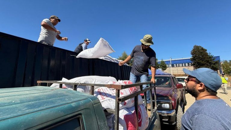 INDAP comenzó la entrega de ayuda de emergencia a pequeños agricultores afectados por incendios forestales en La Araucanía