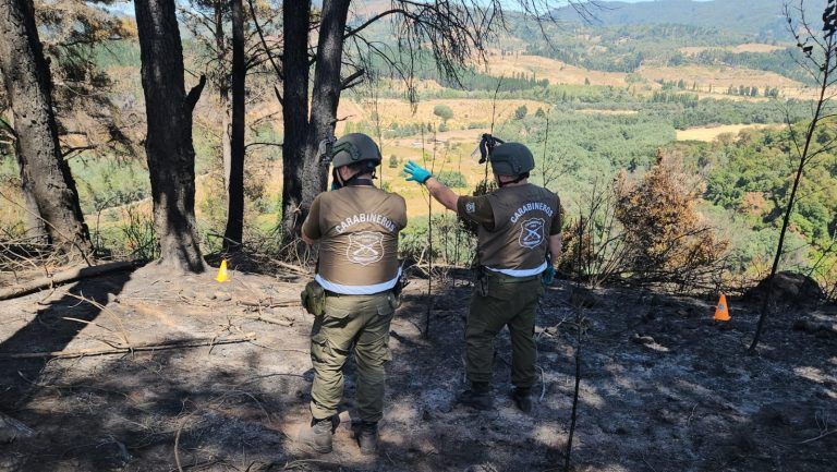 Refuerzan investigación criminalística por incendios forestales en La Araucanía