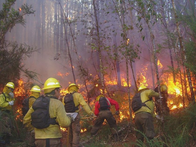 Bomberos, Carabineros y CONAF, los mejores evaluados por labor en los incendios forestales