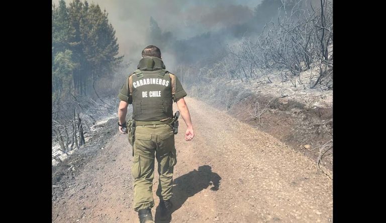 Carabineros registra 31 detenidos por incendios forestales esta temporada en La Araucanía