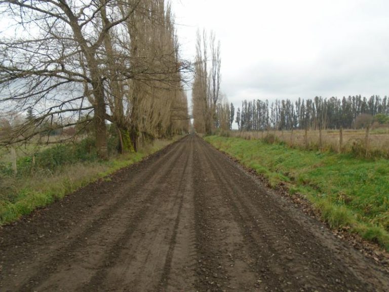 MOP y Gobierno Regional de La Araucanía ejecutaran obras para pavimentación del camino Chufquen – Quino en Traiguén