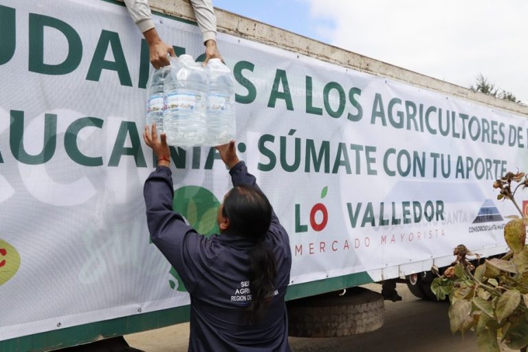 Agricultores afectados por incendios en La Araucanía reciben ayuda del Mercado Lo Valledor