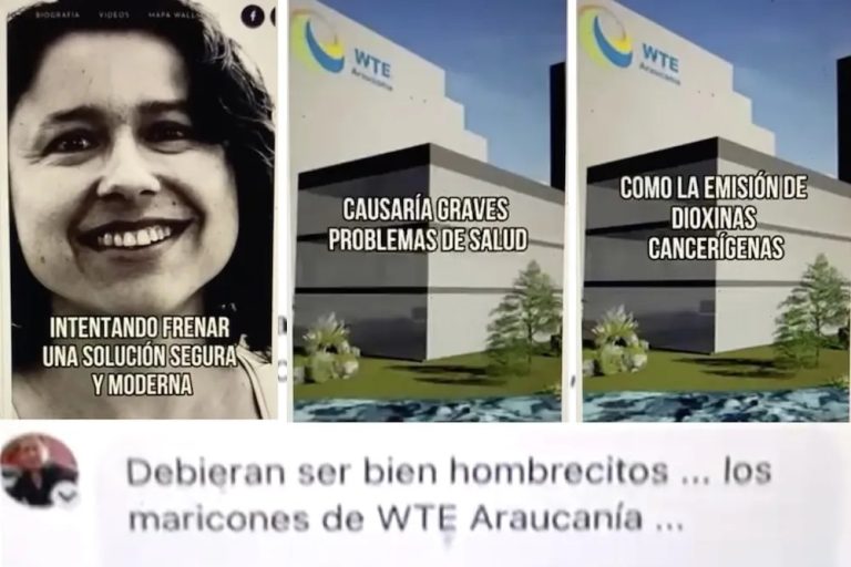 Denuncian acoso a defensora del Medio Ambiente por rechazar WTE Araucanía