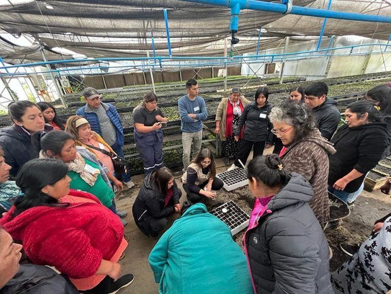 Chile, pionero con Planes de Acción para Pueblos Indígenas Gestión Ambiental bajo el enfoque REDD+