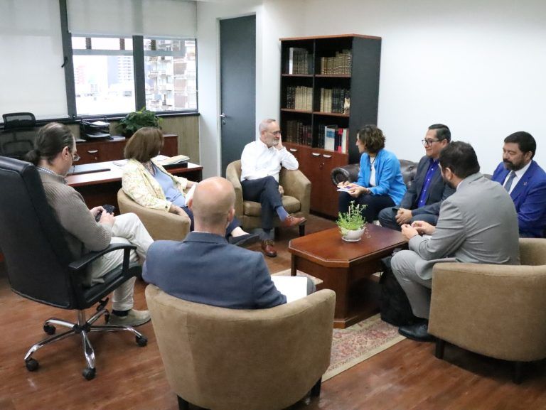 Gobierno Regional de La Araucanía y ONU se reúnen para avanzar en la inclusión digital