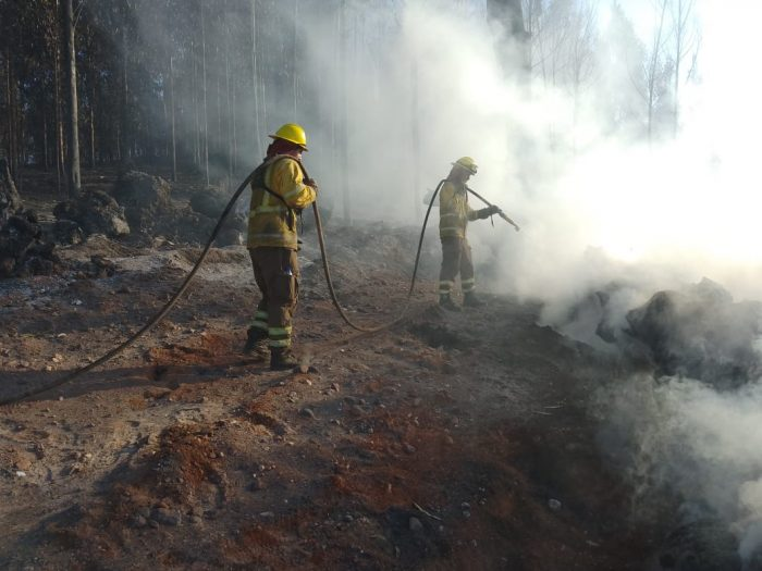 Exdirector Conaf Valparaíso a un año de megaincendio: “Todavía no están los verdaderos responsables”
