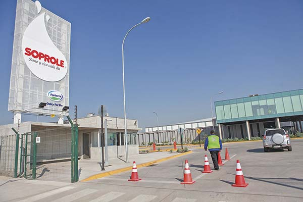Polémica en el mercado lácteo: Demandan ante TLC a Prolesur por abuso en el precio de la leche