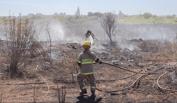 Ordenan evacuar sector Bajo Malleco por incendio forestal