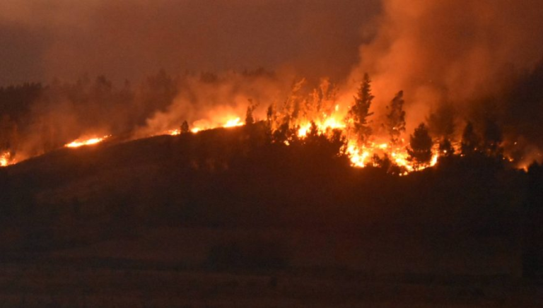 CMPC enfrenta dos nuevos incendios, mientras combate por sexto día en Traiguén y por segundo día en Victoria