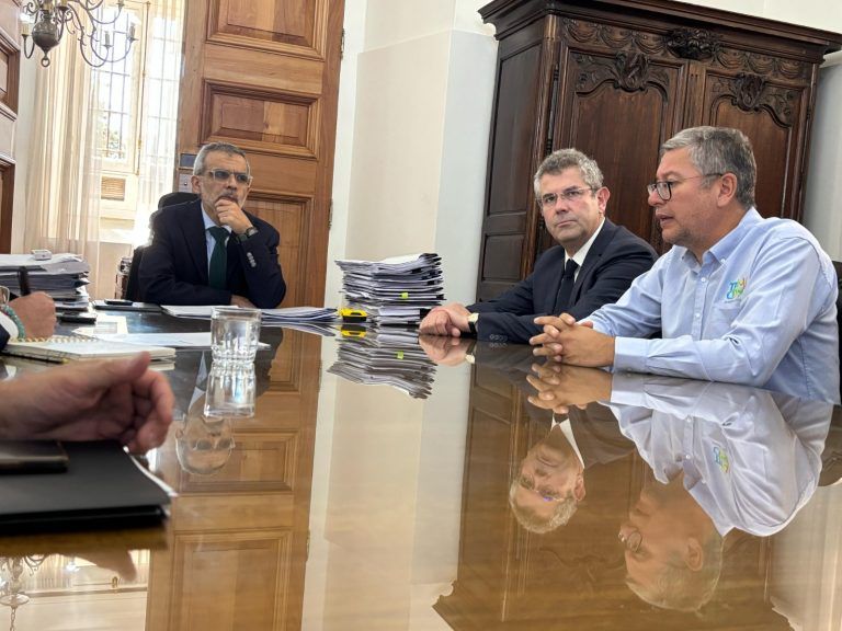 Diputado Jouannet y Alcalde Roberto Neira en reunión clave con subsecretario del interior coinciden en que el uso de pistolas TASER debiera extenderse a guardias municipales