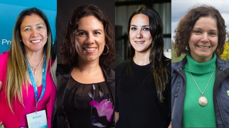 Gobernador René Saffirio propone sólo mujeres destacadas para nuevo directorio de Corparaucanía