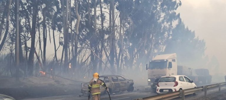 Seis comunas de la región de La Araucanía no tienen un plan de Emergencia Comunal