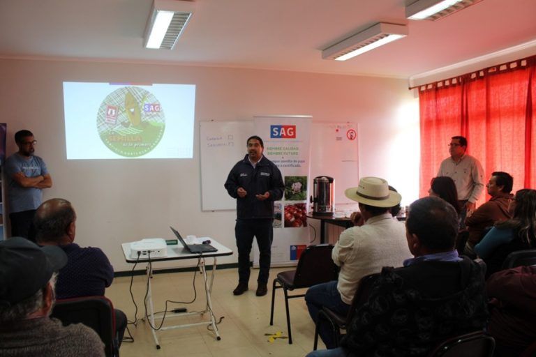 Hasta fin de marzo es la consulta pública a productores de papas de La Araucanía sobre actualización de requisitos para semilleros
