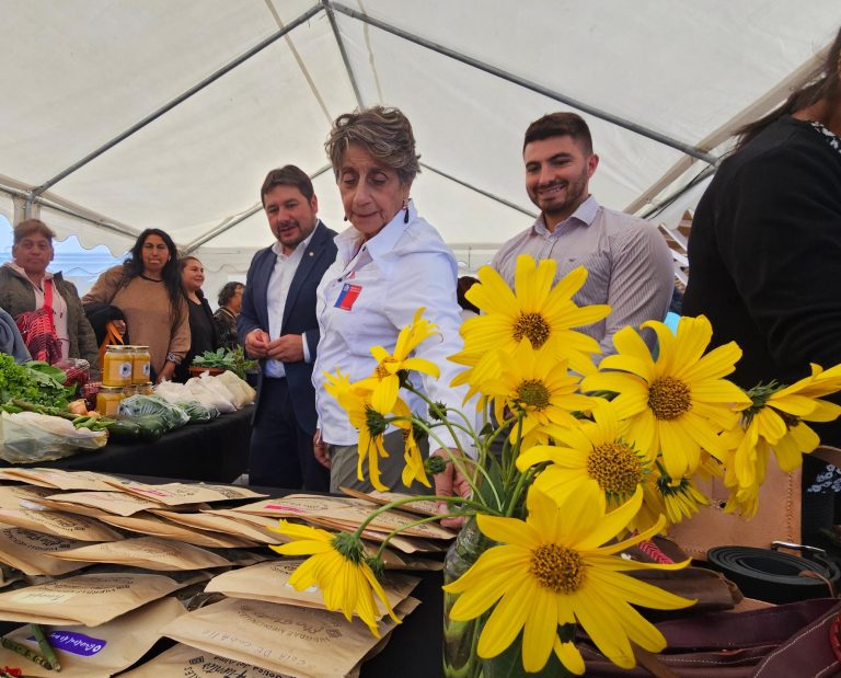 MOP y Municipio de Galvarino inauguran Pérgola “Itrofil Zomo” destinada a emprendedoras mapuche de la comuna
