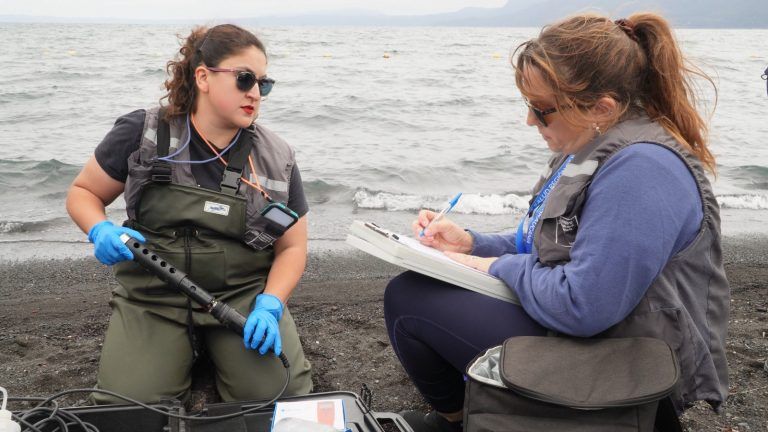 Autoridades confirman balance positivo del estado del agua en el Lago Villarrica