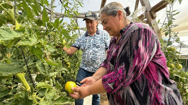En Carahue, Faro Agroecológico recibe solución hídrica para mejorar producción sustentable