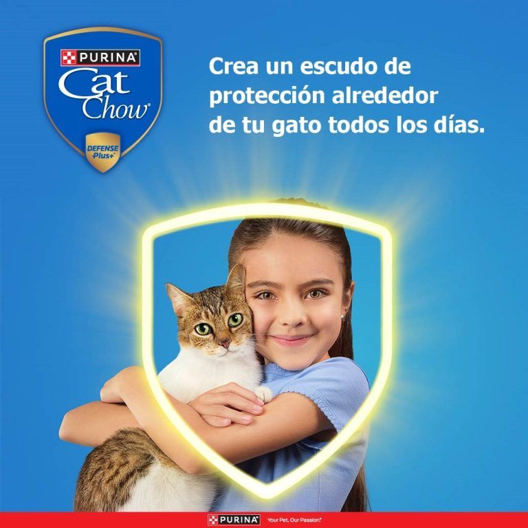 60 años protegiendo la salud de tu gato