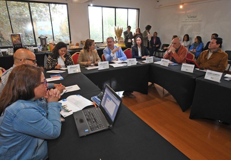 Temuco busca abrir camino a la minería: “Municipio se reúne con el Consejo de Competencias Mineras y Codelco para explorar nuevas oportunidades laborales”