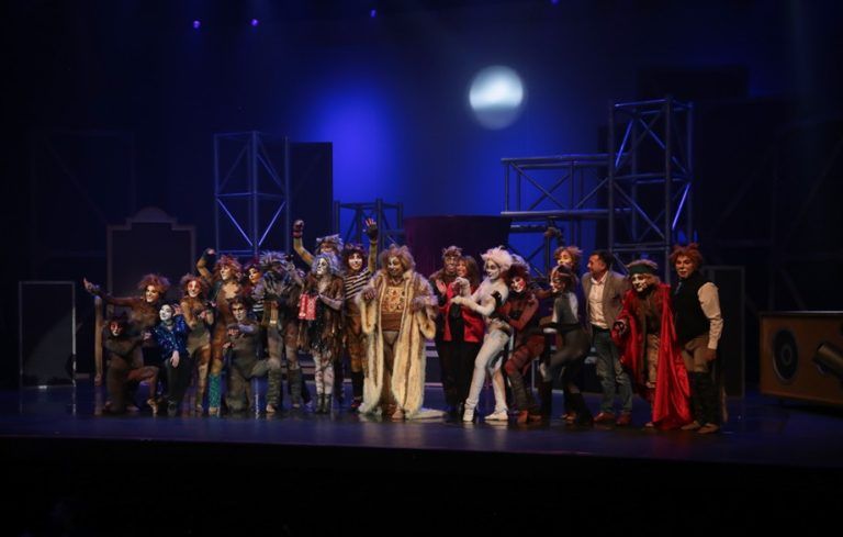 Éxito total de «Cats, el Musical» en el Teatro Municipal de Temuco