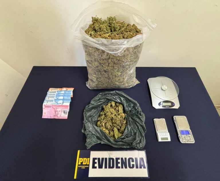 Detenido por tráfico de drogas: PDI saca más de 10 mil dosis de circulación en La Araucanía