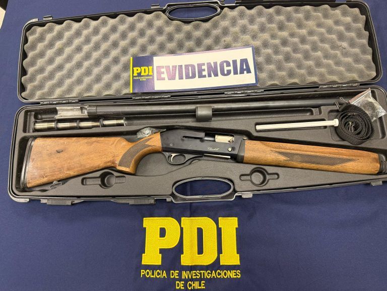 EN MALLECO: PDI recupera un revolver y tres escopetas en operativos por infracción a la ley de armas