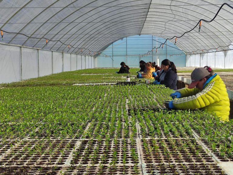 Empresas sostenibles podrán acceder hasta $60 millones para potenciar su crecimiento y adaptación climática
