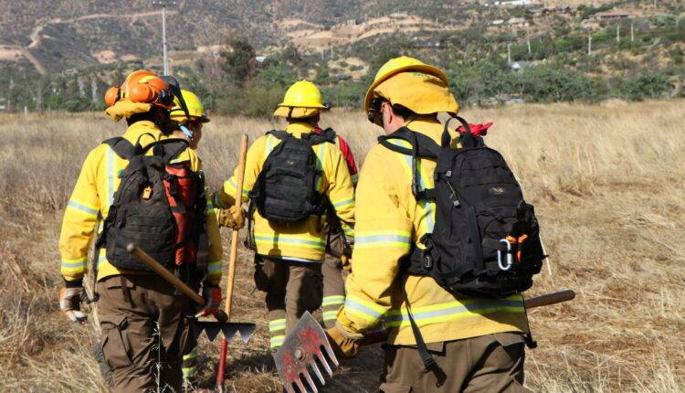 CONAF investiga origen de los incendios forestales para entregar informe a la Fiscalía