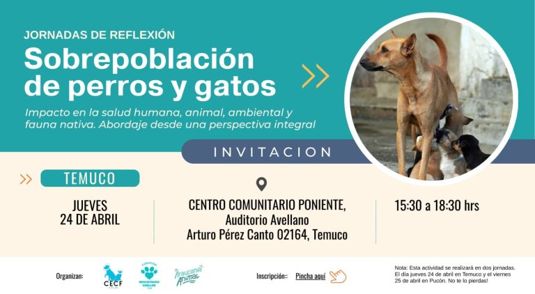 Temuco y Pucón serán sedes del Seminario Regional sobre sobrepoblación de perros y gatos