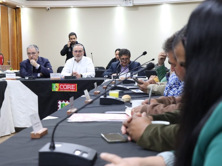 Gobernador y consejeros regionales (CORE) conocieron avances de la Comisión por la Paz y el Entendimiento