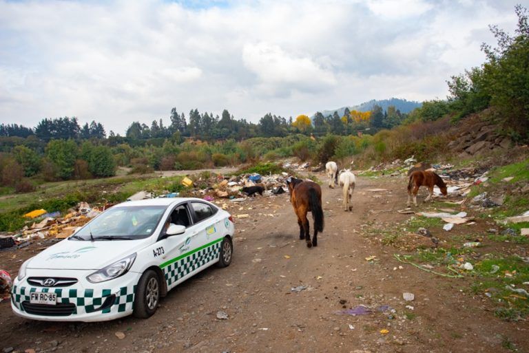 Temuco se querellará contra quienes resulten responsables por grave contaminación en el Humedal Urbano Antumalén