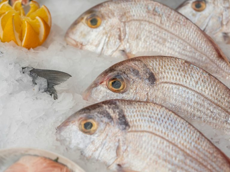 Cuidados con el consumo de productos del mar en Semana Santa