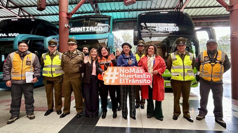 Autoridades refuerzan fiscalización en terminales y carreteras de La Araucanía por semana santa