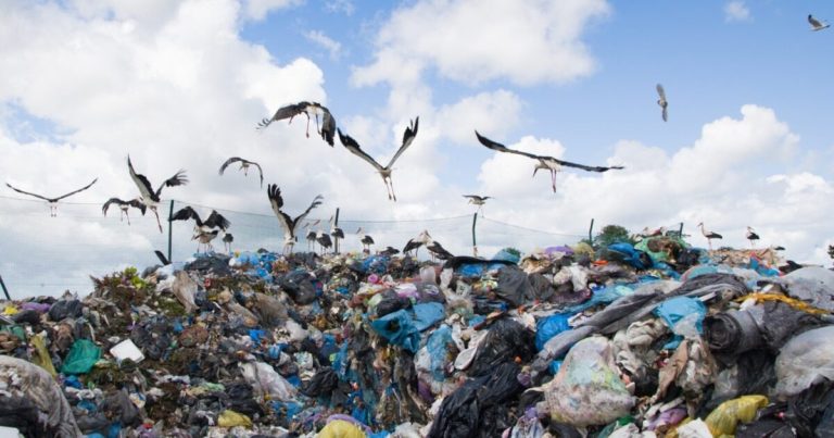 «No queremos más basura»: Autoridades del Biobío piden cerrar puerta a residuos de La Araucanía