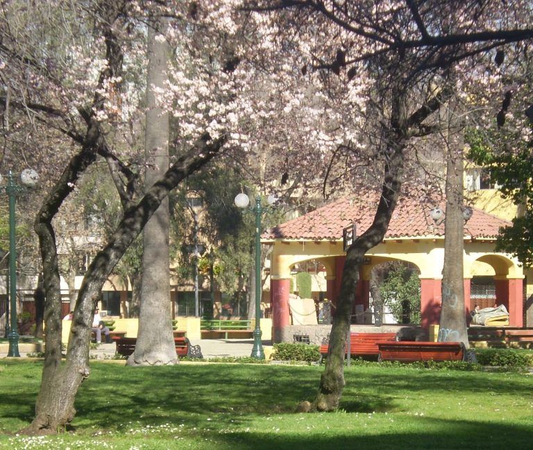 Critican falta de comunicación del alcalde Sichel por polémica intervención en Plaza Ñuñoa