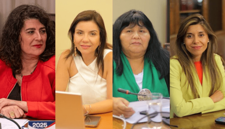 Diputadas socialistas condenan dichos de Kaiser sobre eliminar el Ministerio de la Mujer