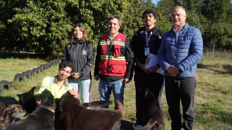 Mesa de trabajo anunció importantes mejoras para el bienestar animal en Pucón
