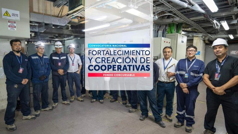 Sercotec entregará subsidios de hasta $20 millones a cooperativas de La Araucanía