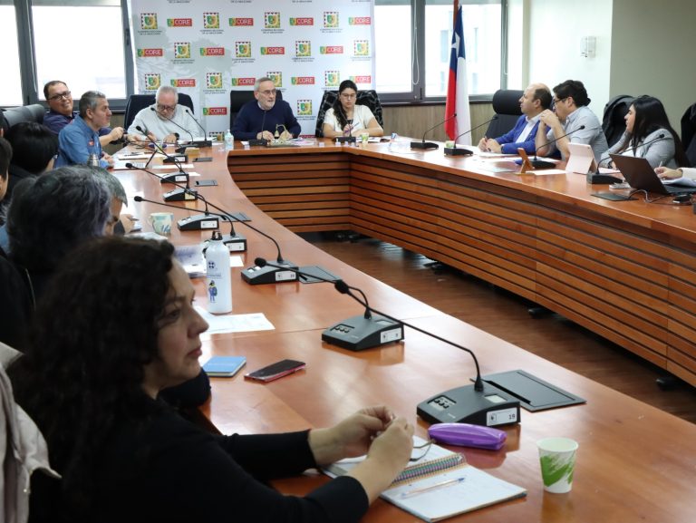 Gobierno Regional ajusta presupuesto de Corfo y Sercotec para que más empresas de Malleco accedan a subsidios estatales
