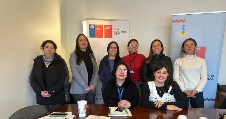 Sesionó la Comisión Regional de Género del Sector Justicia en La Araucanía
