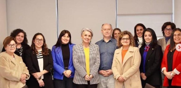 En La Araucanía impulsan concurso de innovación con enfoque de género