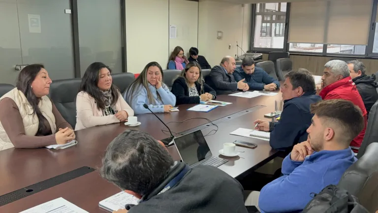 Alcalde de Cholchol busca soluciones al problema de seguridad vial en ruta S-20