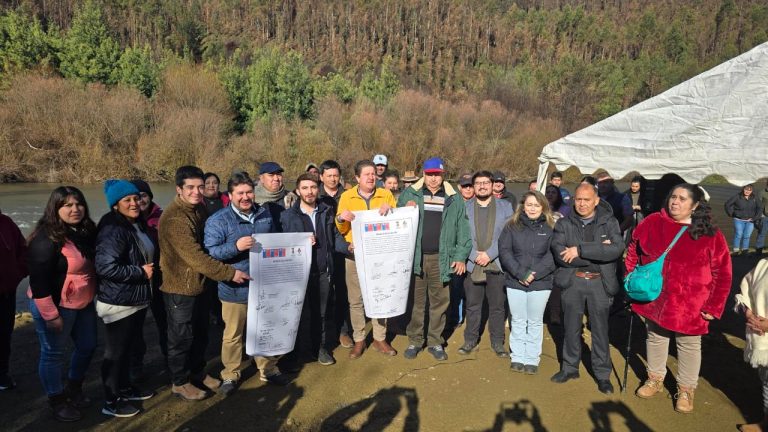 MOP llamará a licitación la construcción de  pasarela vehicular que reemplazará a la actual Balsa Rapanilahue