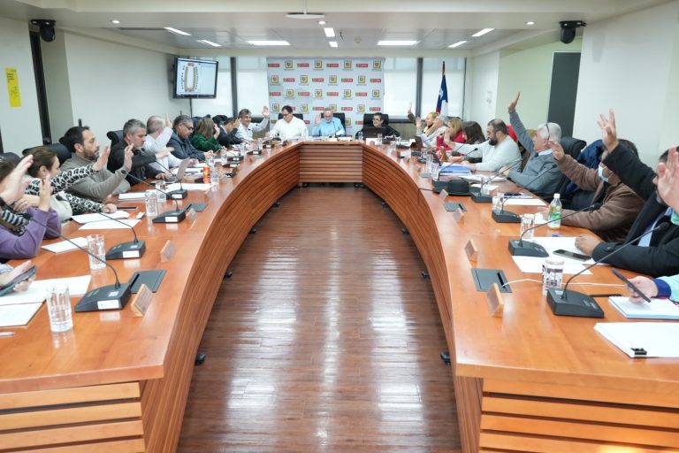 CORE aprueba por unanimidad nueva Estrategia Regional de Desarrollo “Araucanía 2040”